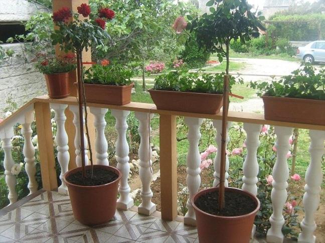 Apartment In Nin With Terrace, Air Conditioning, Wi-Fi Kültér fotó